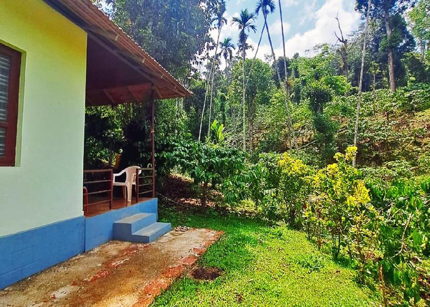 Karnataka Hornadu Outdoors