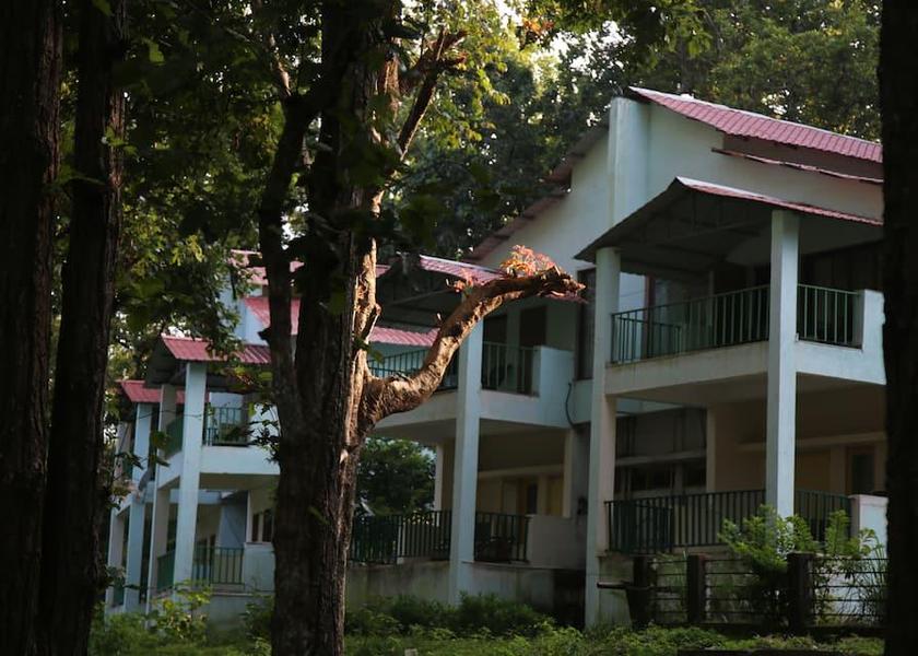 Madhya Pradesh Kanha 
