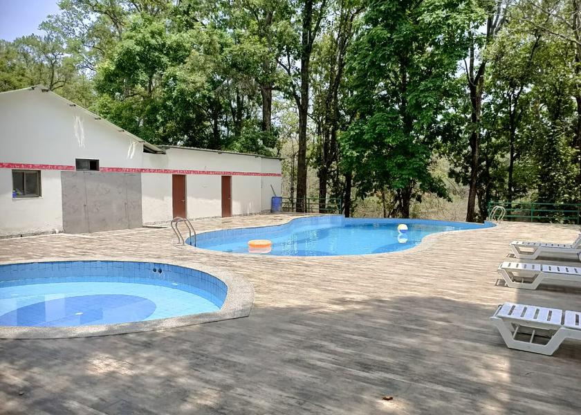 Madhya Pradesh Kanha Pool