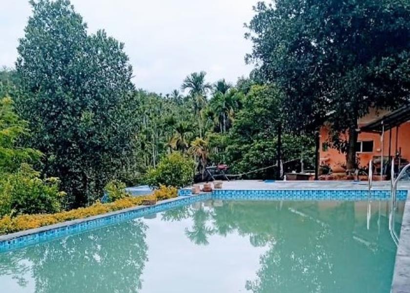 Kerala Wayanad Pool