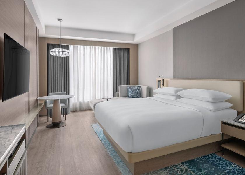 Maharashtra Navi Mumbai King, Specially Abled Room, Interior View