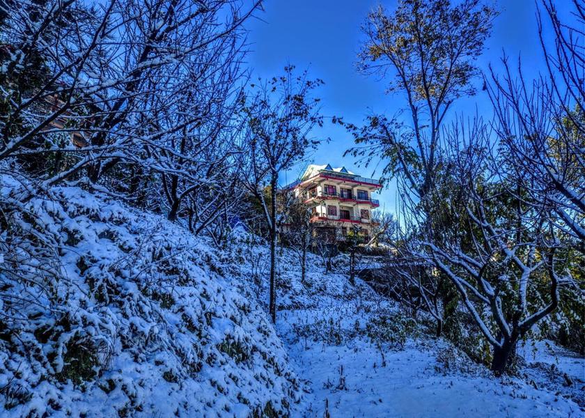 Himachal Pradesh Kandaghat Surrounding environment