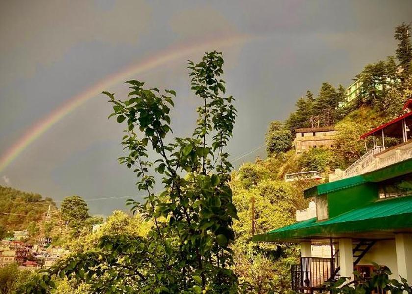Himachal Pradesh Kandaghat 
