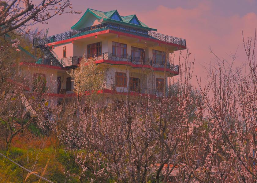 Himachal Pradesh Kandaghat Surrounding environment