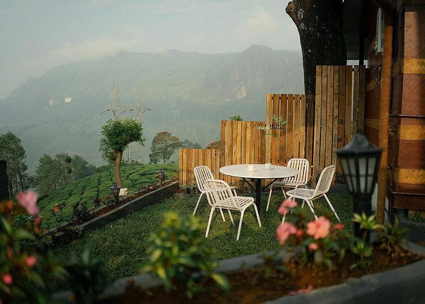 Kerala Munnar 1025