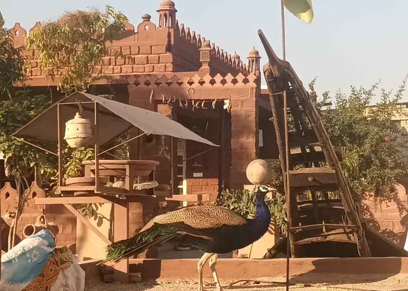 Rajasthan Jodhpur 