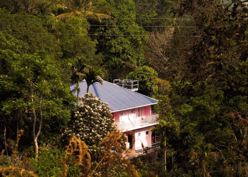 Kerala Munnar Exterior view