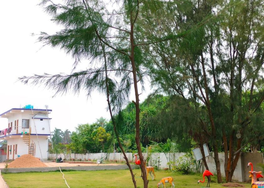 West Bengal Tajpur 