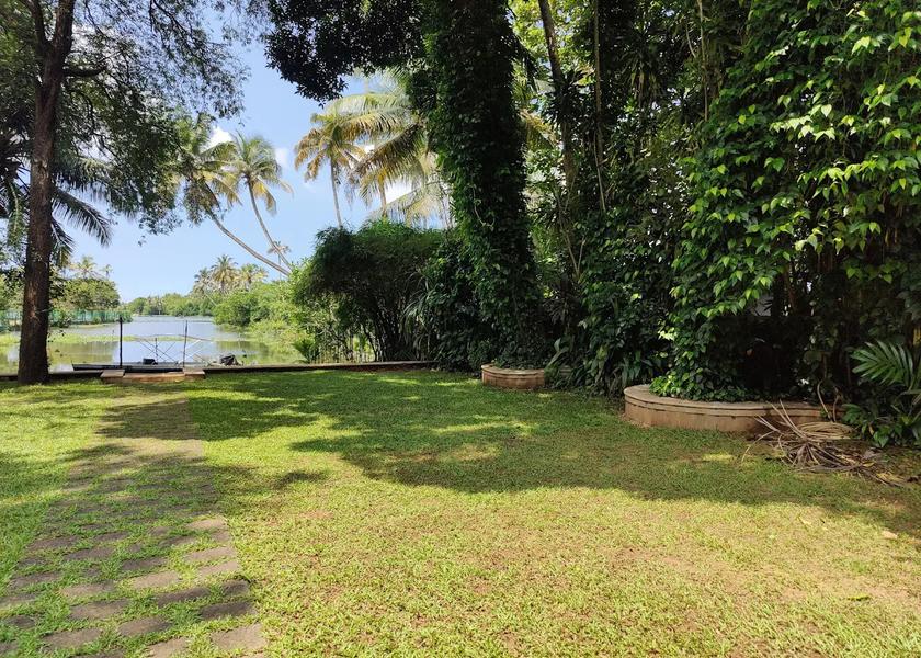 Kerala Kochi Outdoors