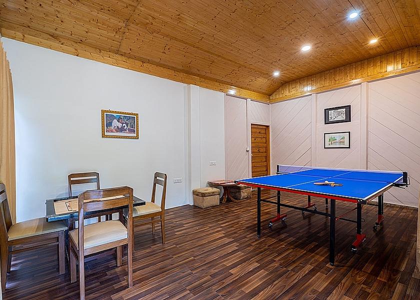 Himachal Pradesh Manali Game room