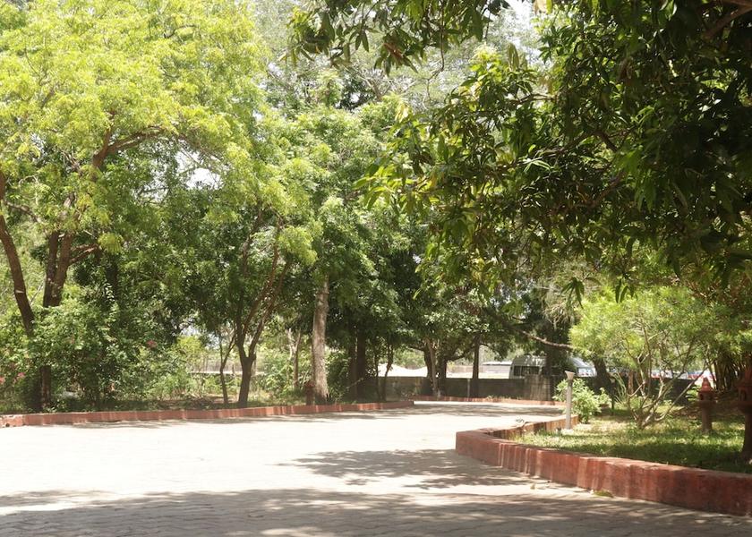 Tamil Nadu Mahabalipuram Facade
