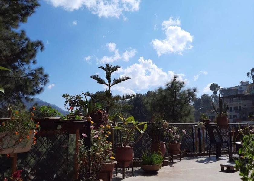 Himachal Pradesh Solan Exterior