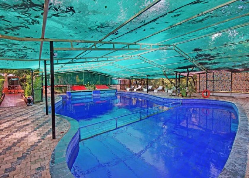 Gujarat Sasan Gir Pool