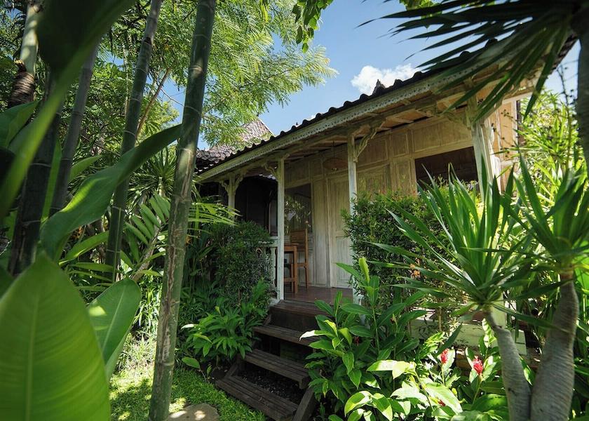 Bali Canggu Garden view