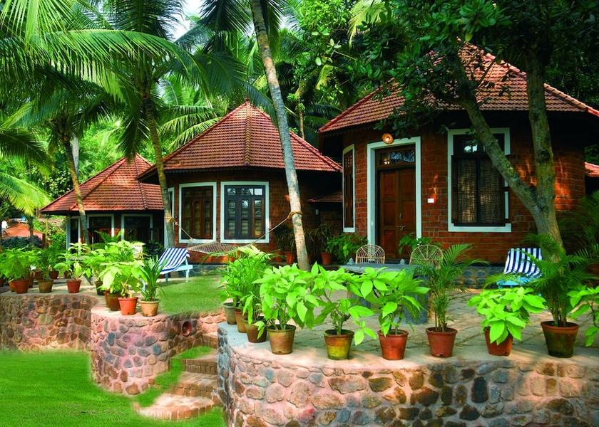 Kerala Kottukal Primary image