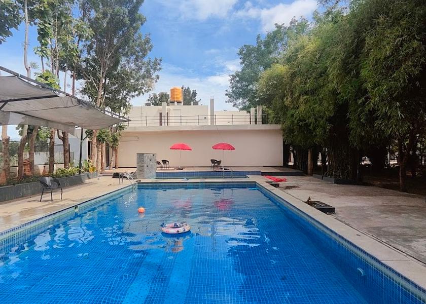 Karnataka Bandipur Pool