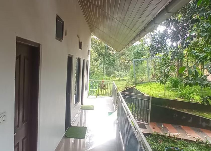 Kerala Munnar 1025