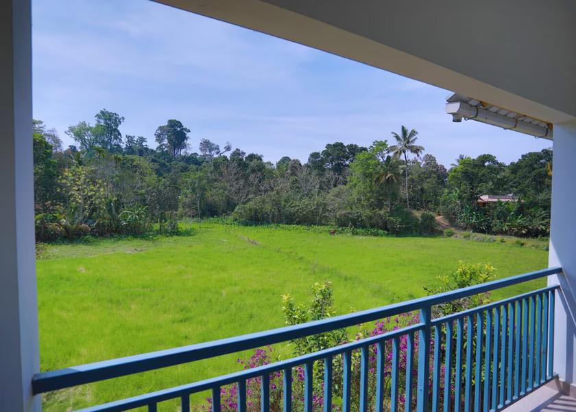 Kerala Munnar Outdoors