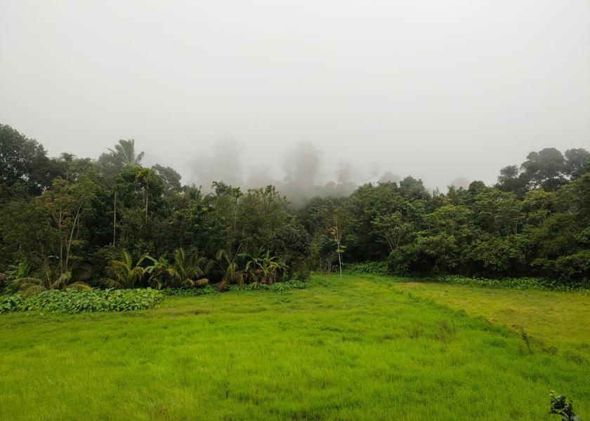Kerala Munnar Hotel View