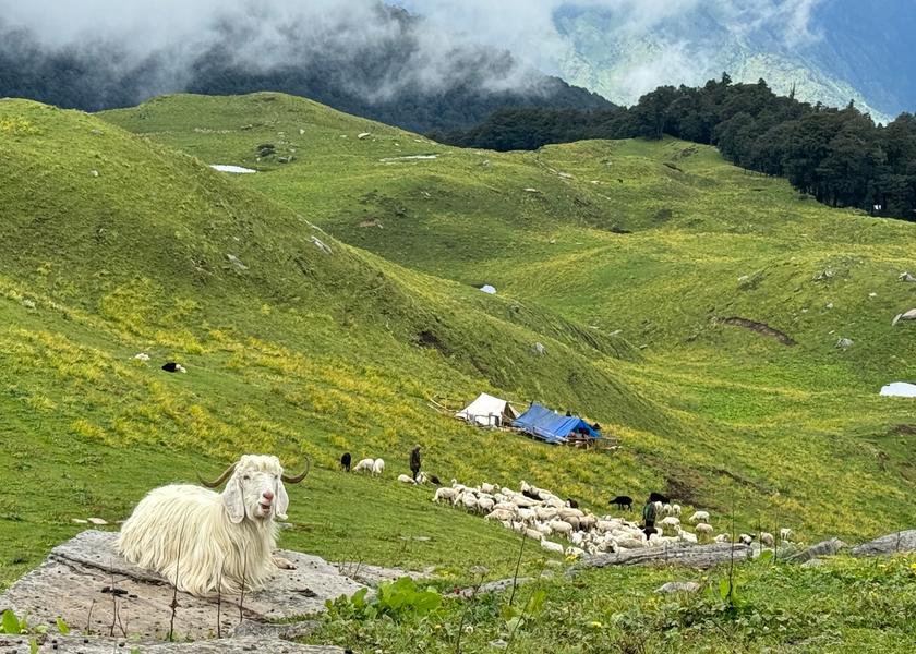 Uttarakhand Joshimath Hotel Exterior