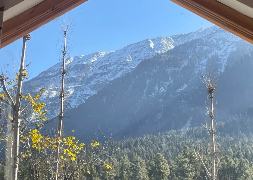 Jammu and Kashmir Pahalgam 1025