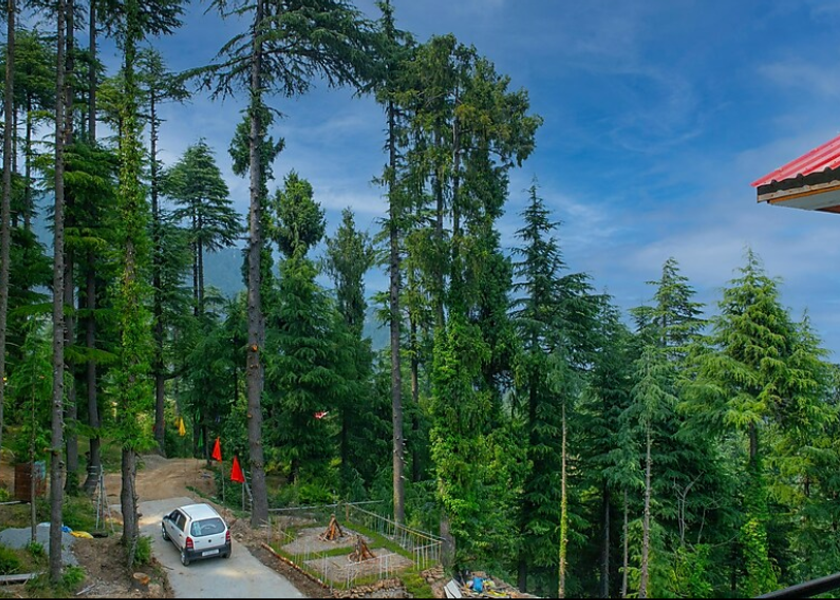Himachal Pradesh Khajjiar Hotel Exterior