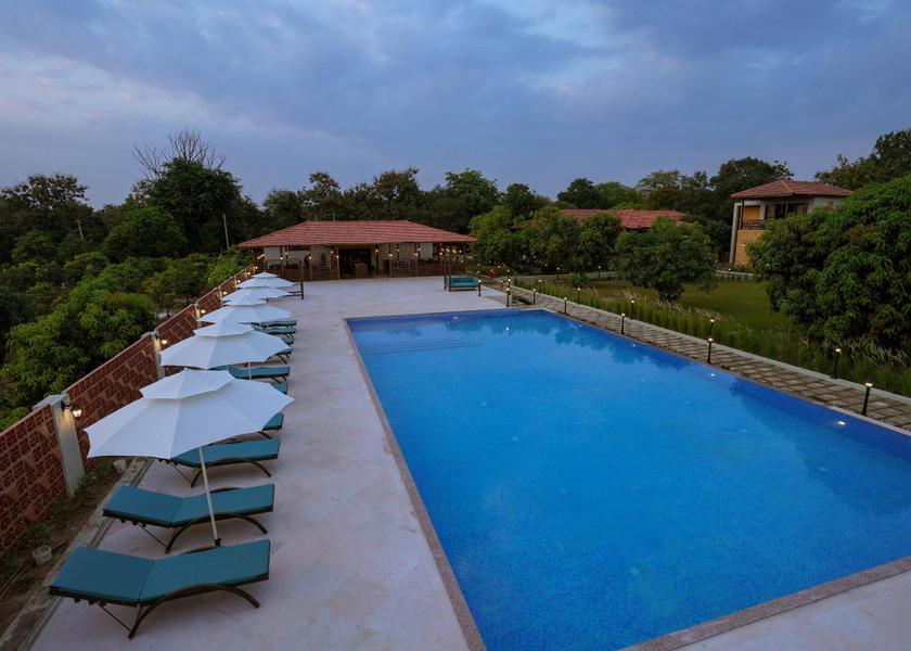 Gujarat Sasan Gir Pool