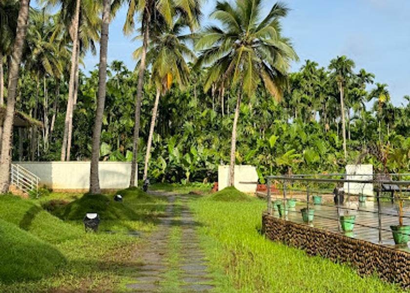 Karnataka Dandeli Hotel View