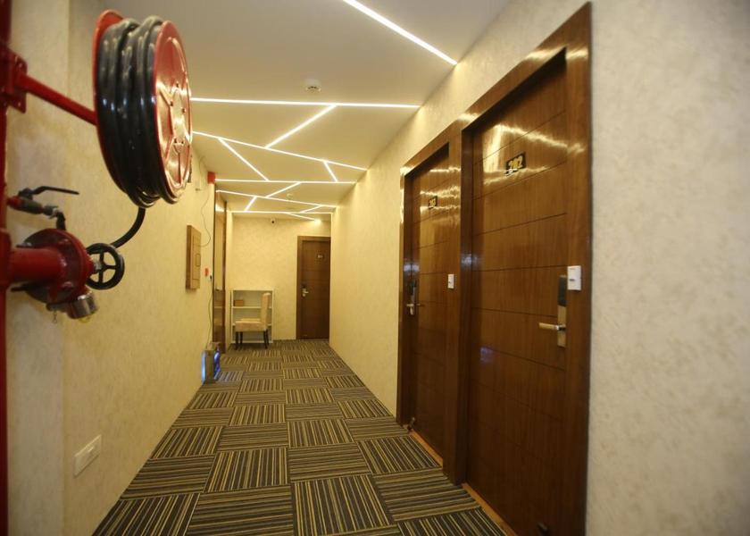 Punjab Chandigarh Public Areas