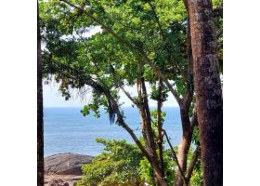 Goa Canacona Public Areas