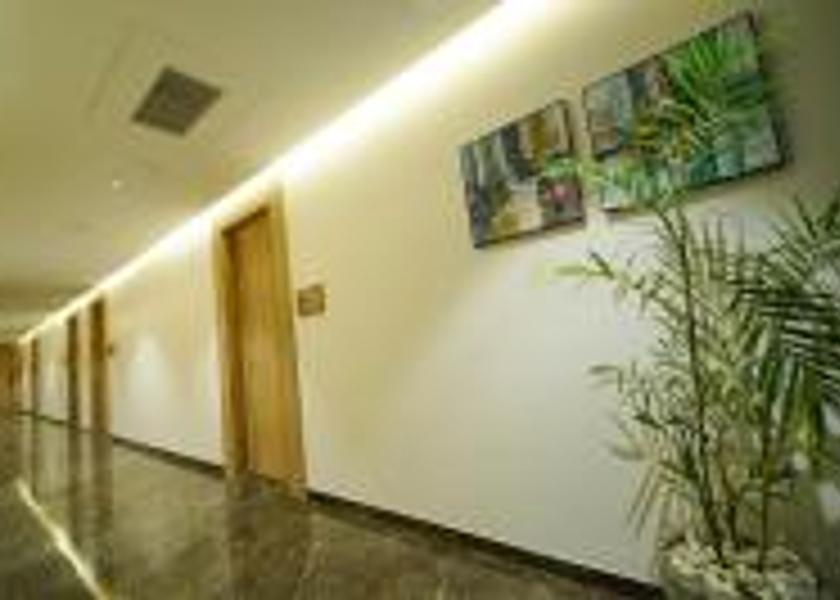 Andhra Pradesh Nellore Public Areas