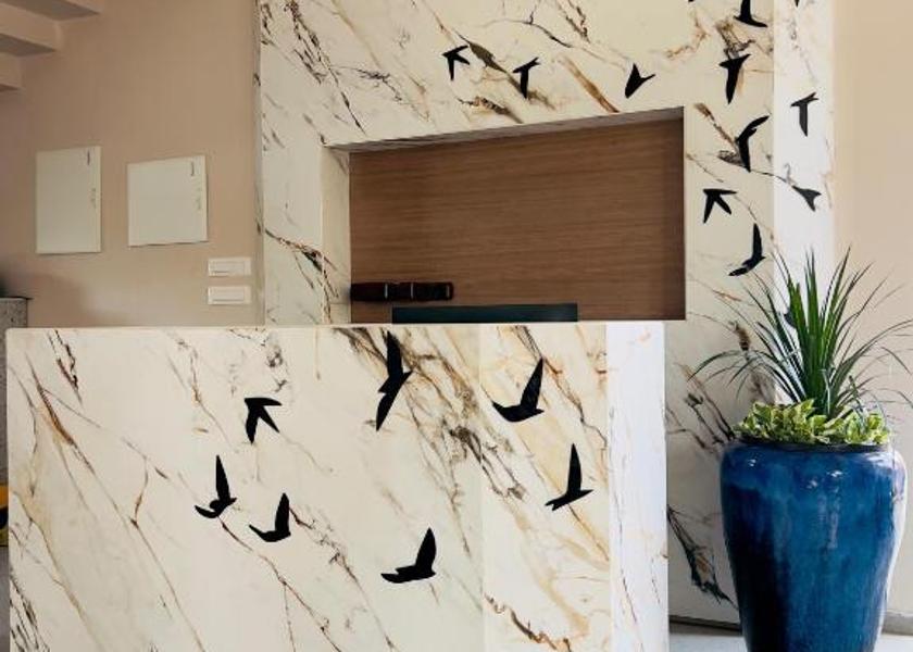 Kerala Palakkad Public Areas