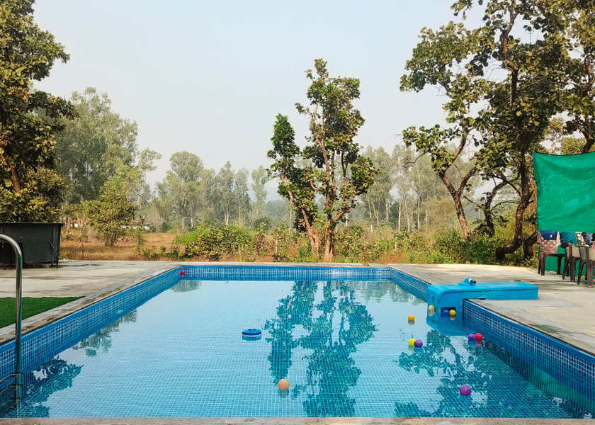 Madhya Pradesh Kanha Others