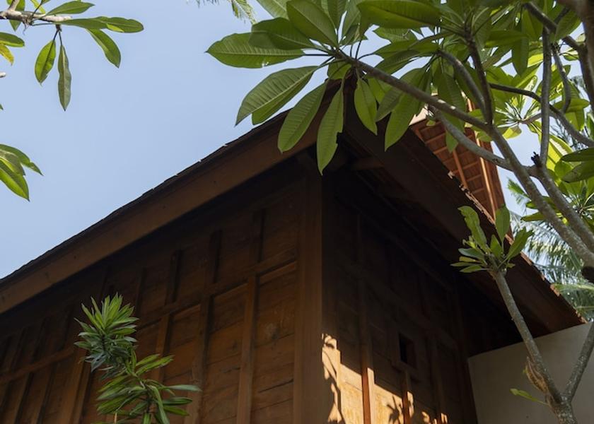 Bali Ubud Garden