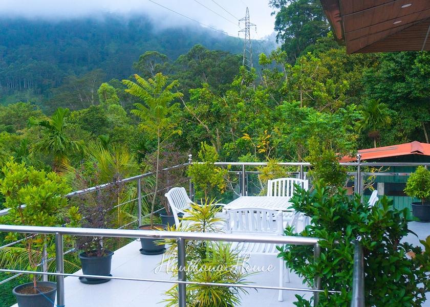 Central Province Kandy Exterior Detail