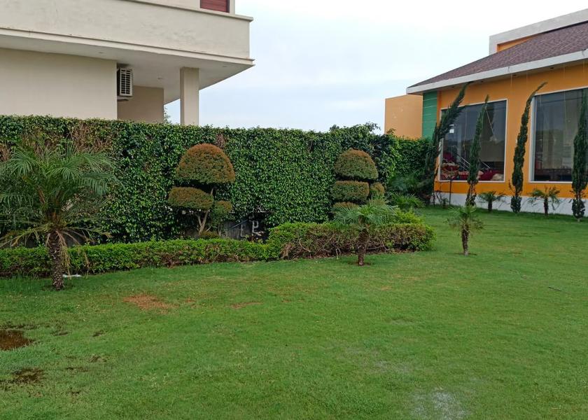 Rajasthan Sri Ganganagar Outdoors