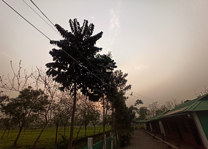 West Bengal Lataguri Hotel View