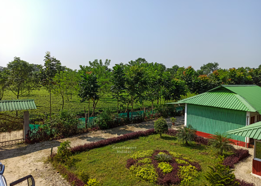 West Bengal Lataguri Hotel Exterior