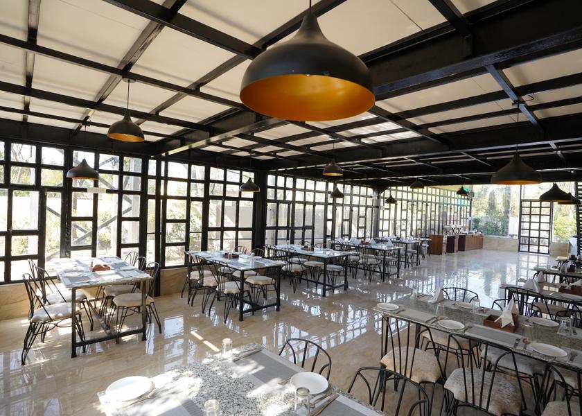 Rajasthan Jaipur Food & Dining
