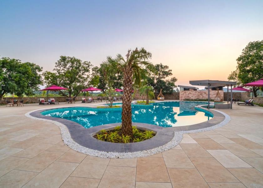 Gujarat Sasan Gir Pool