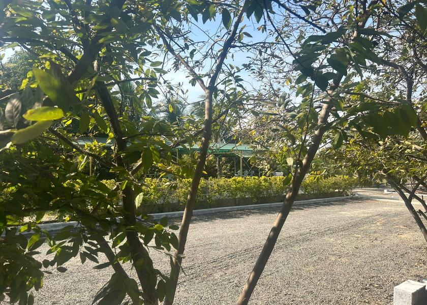 Gujarat Junagadh Hotel View