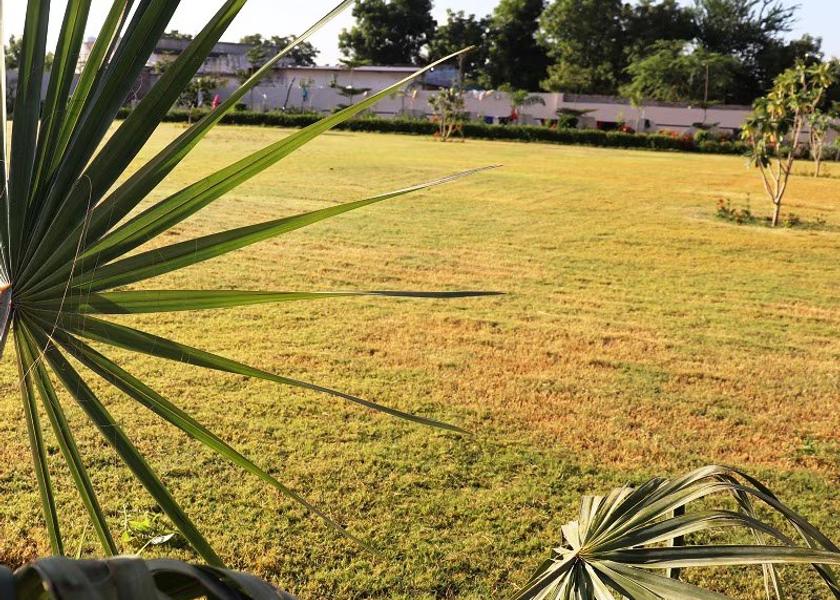 Rajasthan Pindwara Outdoors