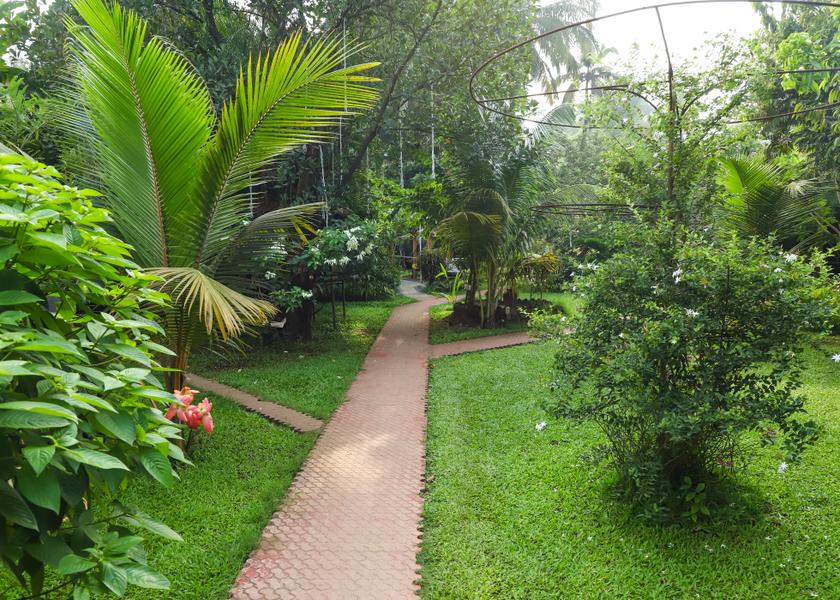 Maharashtra Alibaug Outdoors