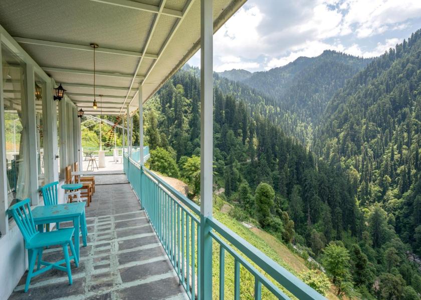 Himachal Pradesh Jibhi 1025