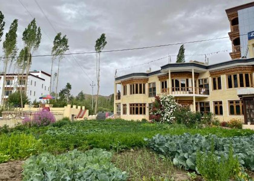 Ladakh Leh Hotel View