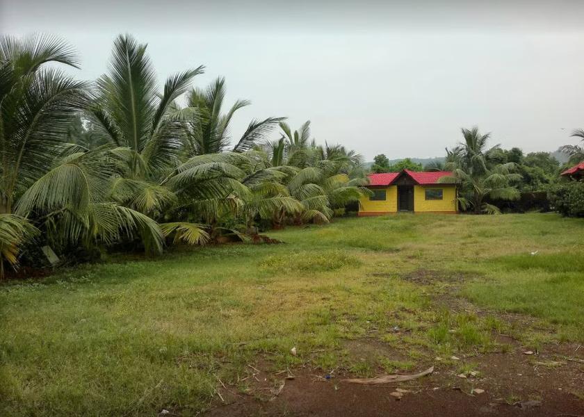 Maharashtra Harihareshwar Outdoors
