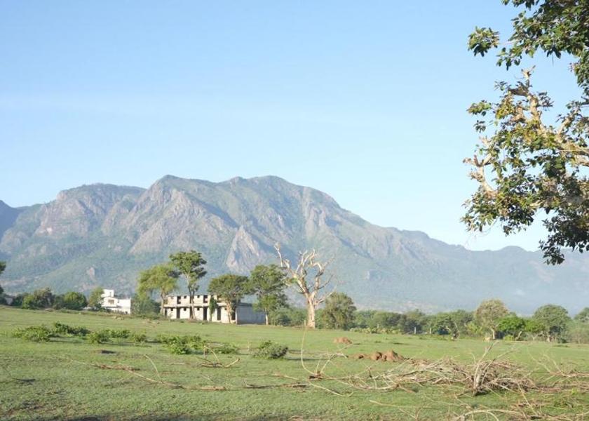 Tamil Nadu Masinagudi Hotel View