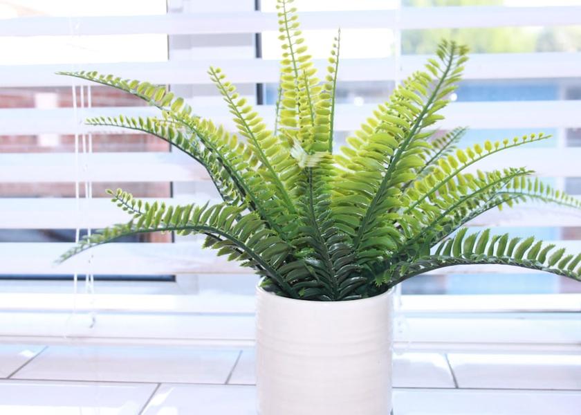 England Harlow Property Grounds