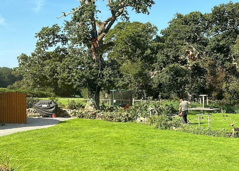 England Liskeard Property Grounds
