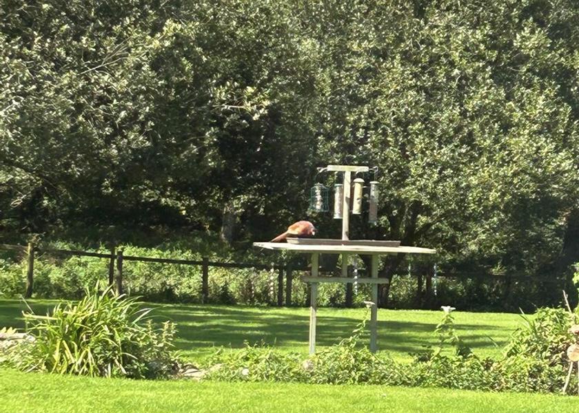 England Liskeard Amenity